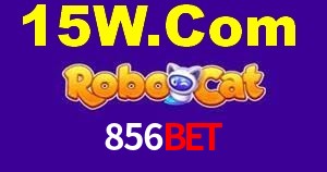 Sports Statistics 856bet